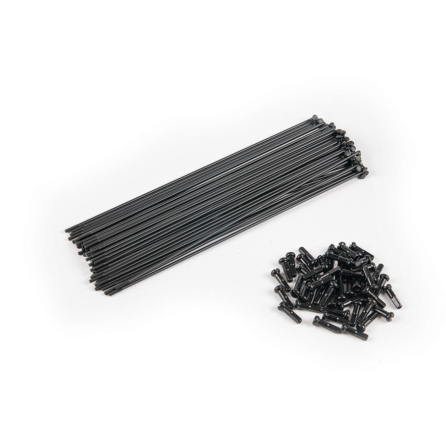 Eclat Spokes ( ) - Dragonspine Cycling
