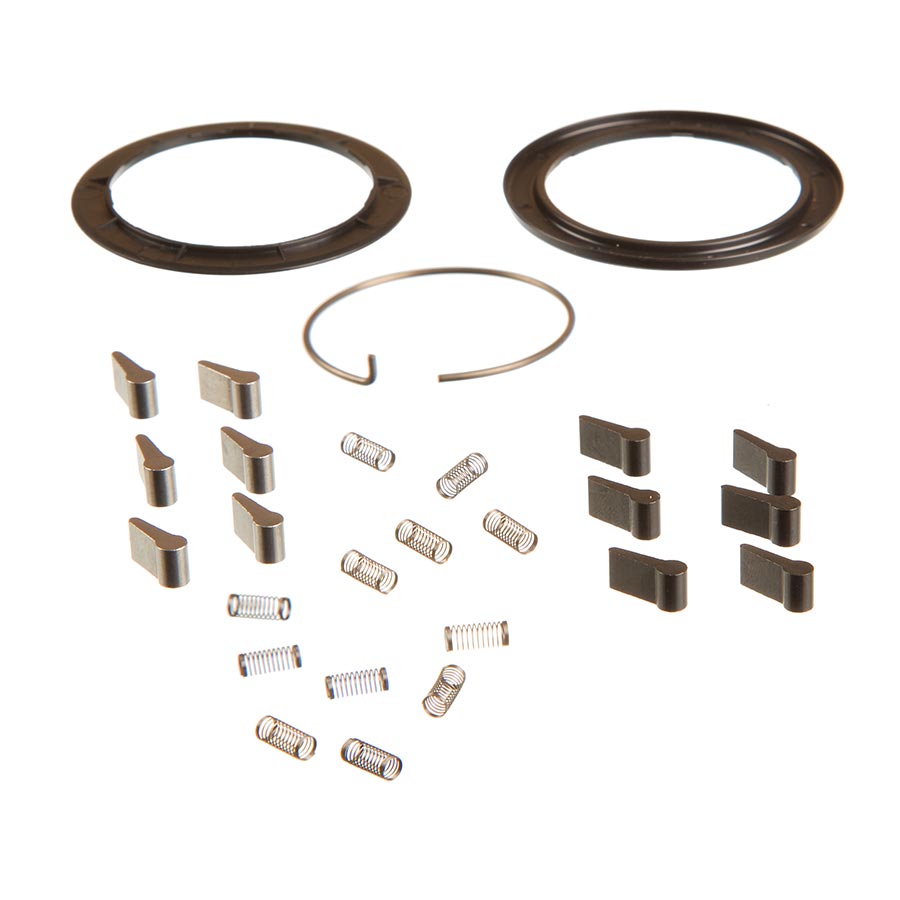 Zipp Spring and Pawl Set - ZM2