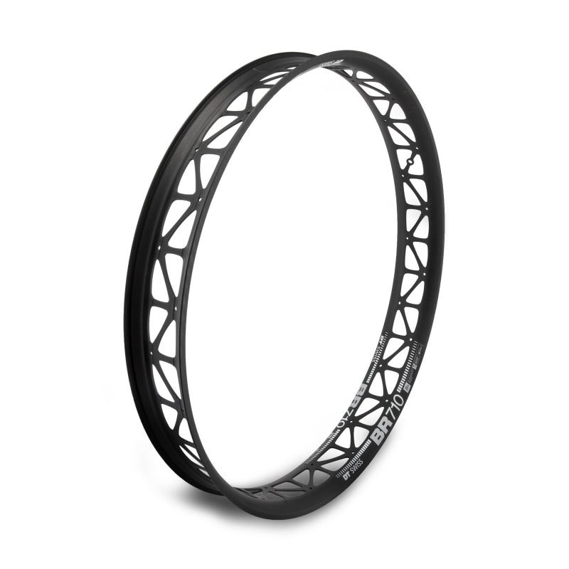 Rims DT Swiss DT Swiss Big Ride Rim - 26" Disc Black 32H Clincher Dark Slate Gray