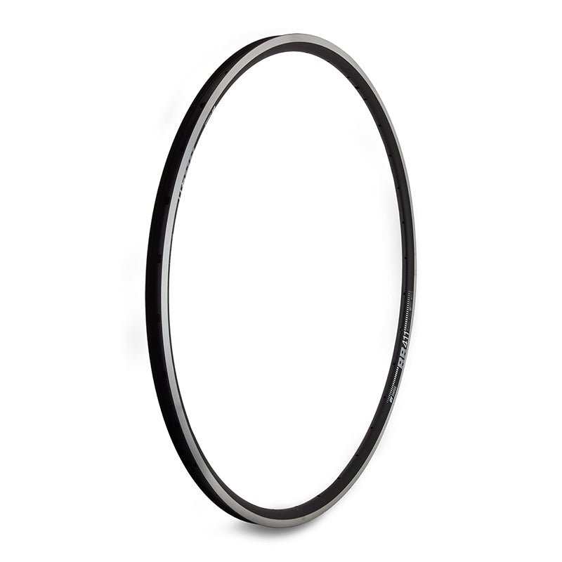 Rims DT Swiss DT Swiss RR 411 Rim - 700 Rim Black 32H Light Gray