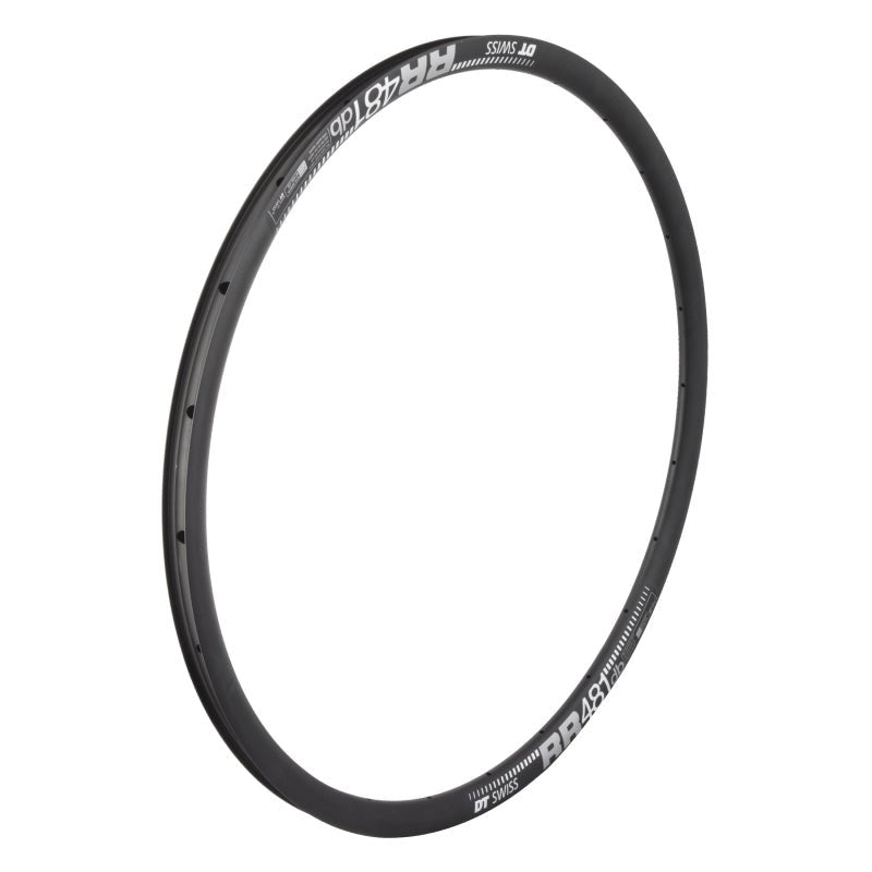 Rims DT Swiss DT Swiss RR 481 Rim - 700 Disc Black 24H Dark Slate Gray
