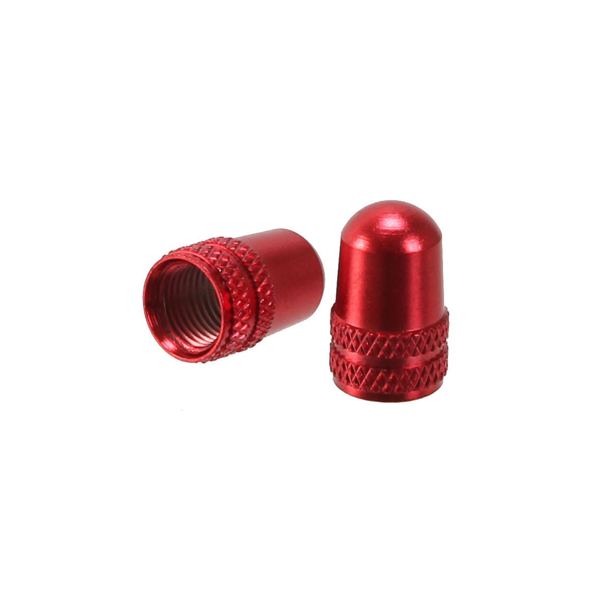 Alligator Tube Care ( ) - Dragonspine Cycling