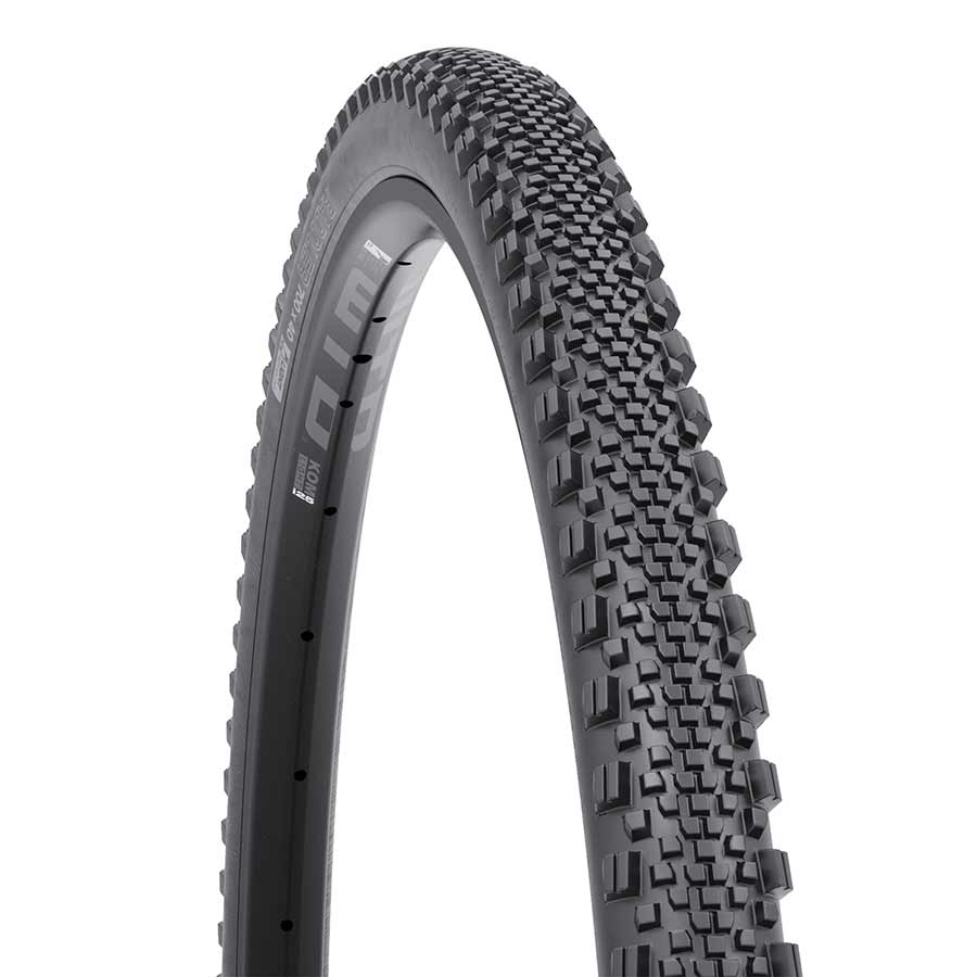 Tires WTB WTB Raddler Tire - 700 x 40 TCS Tubeless Folding BLK Light Fast Rolling SG2 Dim Gray
