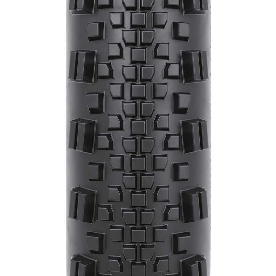 Tires WTB WTB Raddler Tire - 700 x 44 TCS Tubeless Folding BLK Light Fast Rolling SG2 Dark Slate Gray