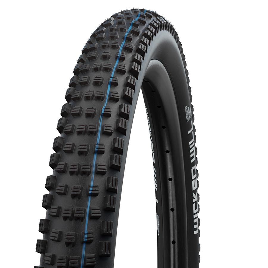 Tires Schwalbe Schwalbe Wicked Will Tire - 29 x 2.25 Clincher Folding BLK Performance Line Addix Dark Slate Gray