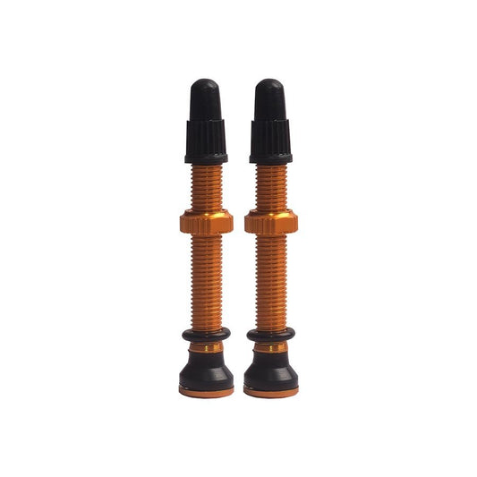 EVO Tubeless Valves ( ) - Dragonspine Cycling
