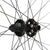 Rear Wheel WTB WTB Proterra Tough i30 Rear Wheel - 29" 12 x 148mm 6-Bolt BLK Micro Spline 32H Black