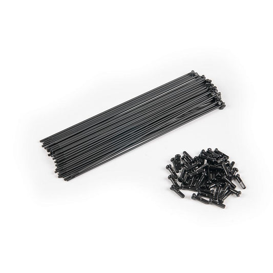 Eclat Spokes ( ) - Dragonspine Cycling