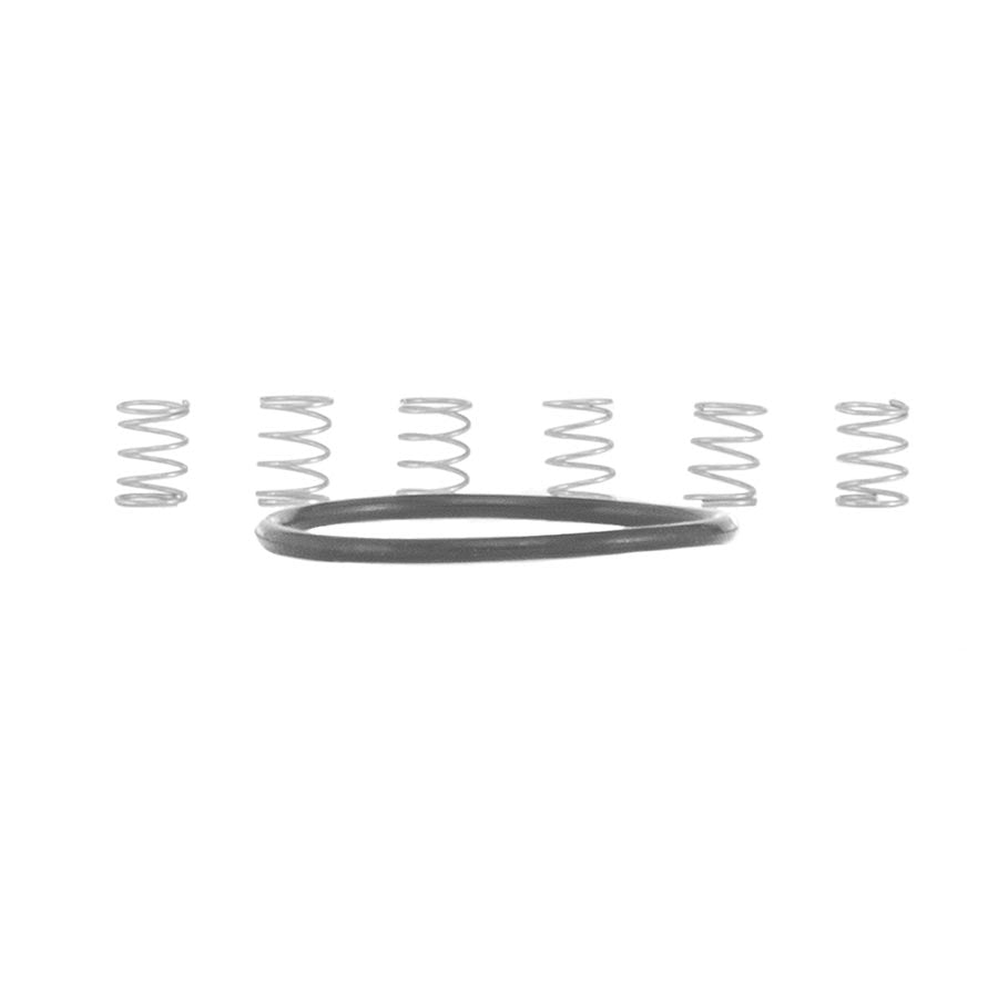 Hub Parts Industry Nine Industry Nine Pawl Spring Kit Torch Light Gray