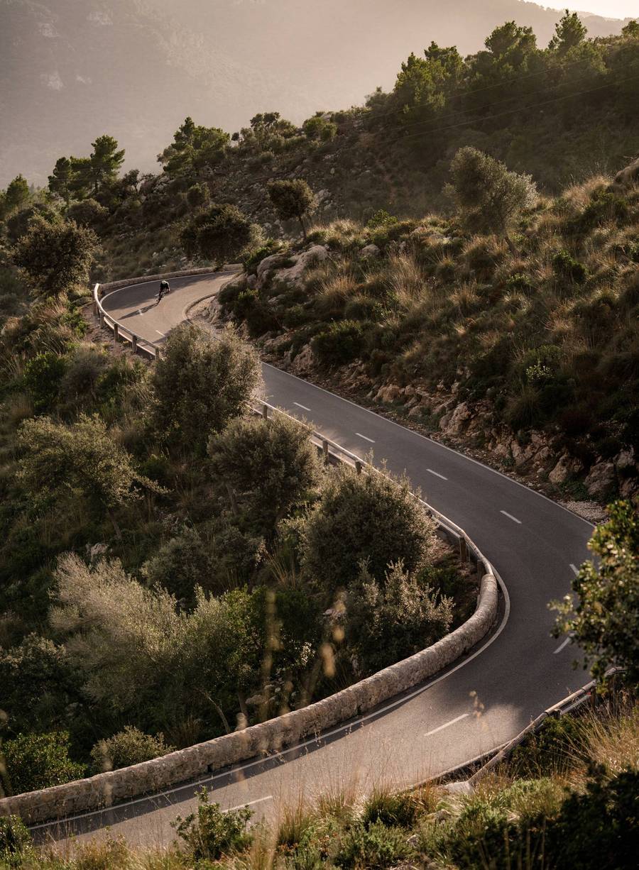 CeramicSpeed BB ALPHA for BBright Shimano Road - Dragonspine Cycling