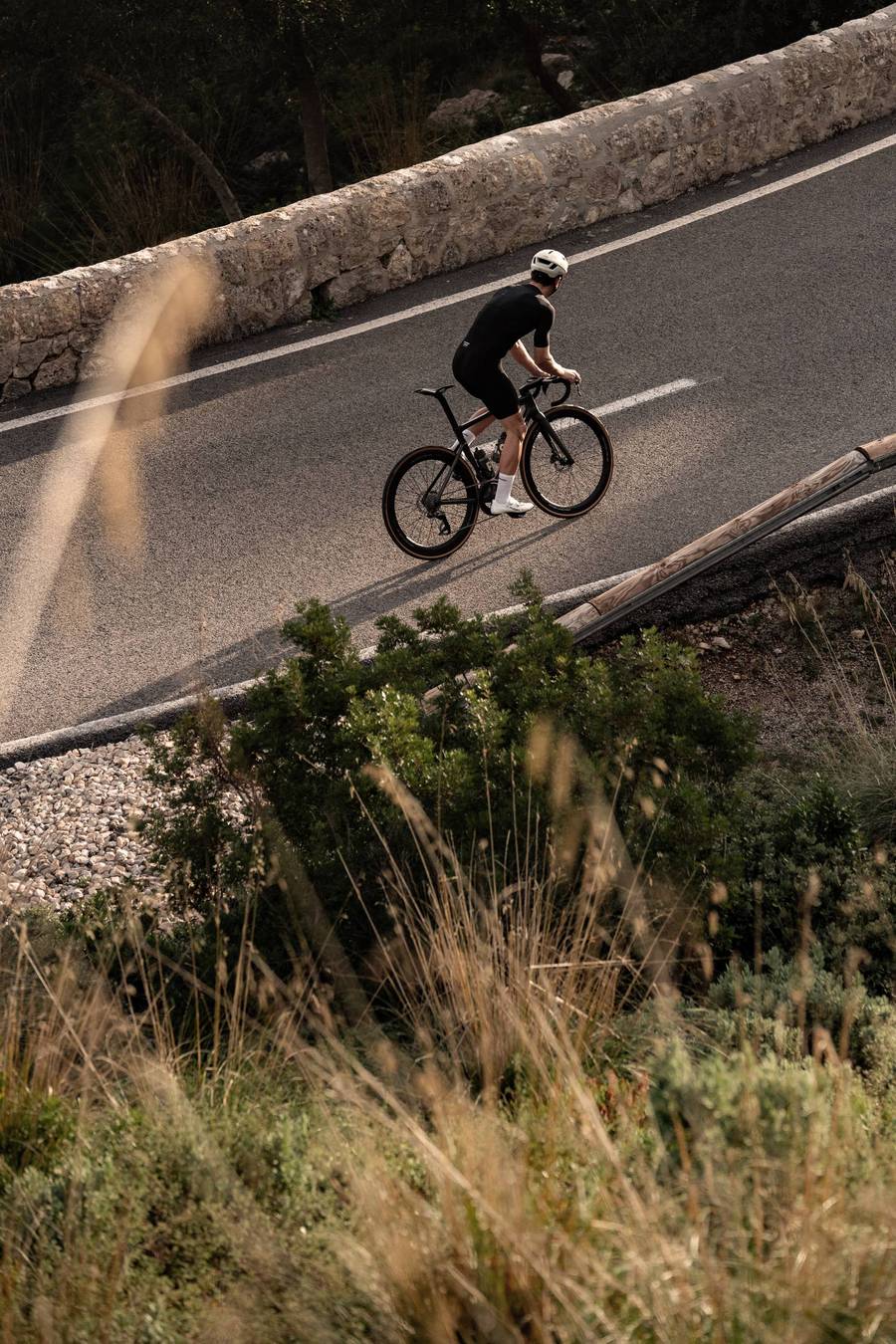 CeramicSpeed BB ALPHA for T47/86 Campagnolo Ultra Torque Road - Dragonspine Cycling