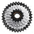 Freewheels SunRace Sunrace MFM56 Freewheel 8 13-34T HG 7/8 Light Gray