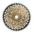 Cassettes and Cogs SRAM SRAM XX1 Eagle XG-1299 Cassette - 12 Speed 10-50t Gold/BLK For XD Driver Body Dim Gray