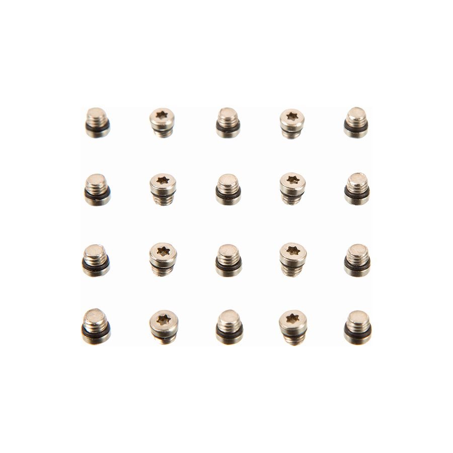 Brake Lever Parts and Accessories SRAM SRAM Lever Bleed Screw 20pcs Light Gray