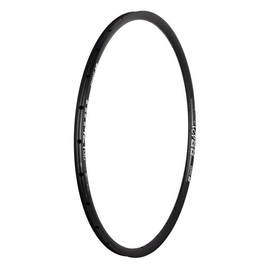 Rims DT Swiss DT Swiss RR 421 Rim - 700 Disc Black 28H Asymmetric Dark Slate Gray