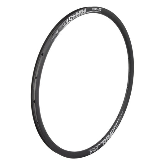 Rims DT Swiss DT Swiss RR 481 Rim - 700 Disc Black 24H Dark Slate Gray
