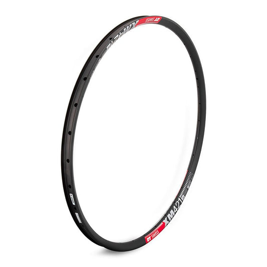 Rims DT Swiss DT Swiss XM 421 Rim - 29" Disc Black 32H Dark Slate Gray