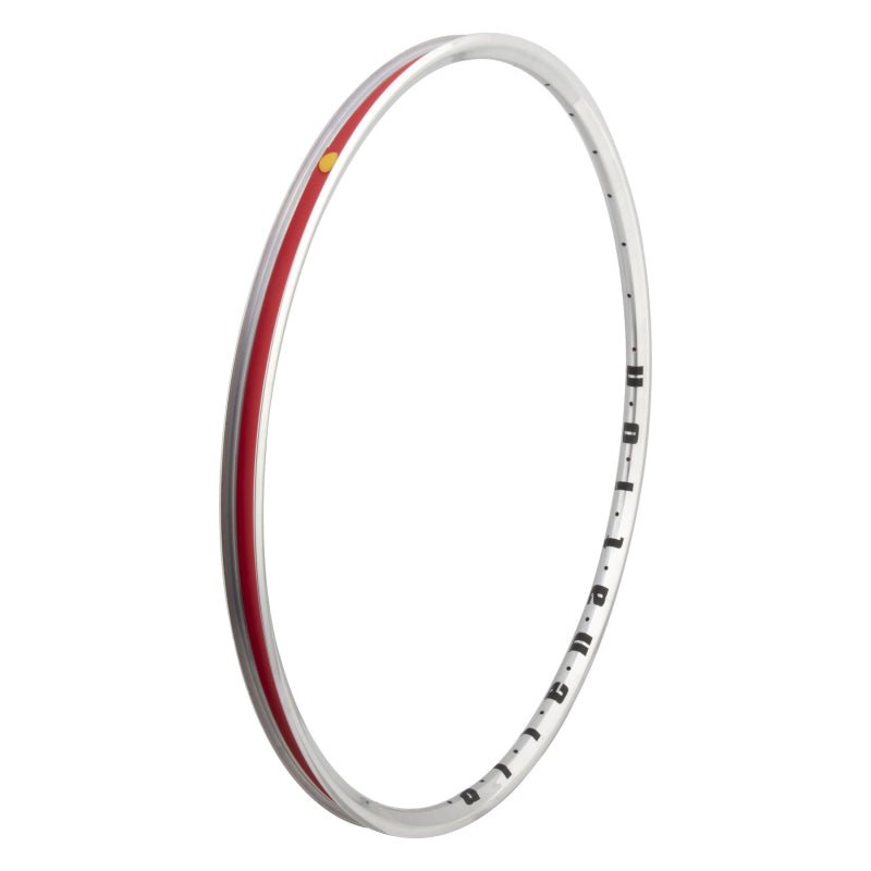 Rims Alienation Alienation Mischief TCS 2.0 29in 32H Rim Light Gray