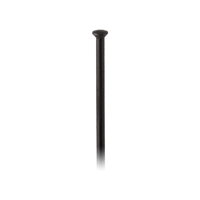 Spokes DT Swiss Dt swiss Champion Straight Pull Straight Pull 2.0 (14G) 292mm Box of 100 Black No Dark Slate Gray