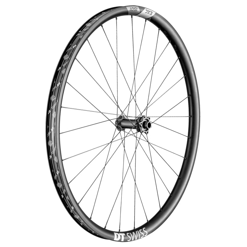 Front Wheel DT Swiss DT Swiss EXC 1501 Spline One Front Wheel - 29" 15 x 110mm Boost 6-Bolt Black Dark Slate Gray