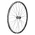 Front Wheel DT Swiss DT Swiss HX 1700 Spline LS Front Wheel - 29" 15 x 110mm 6-Bolt Black Dark Slate Gray