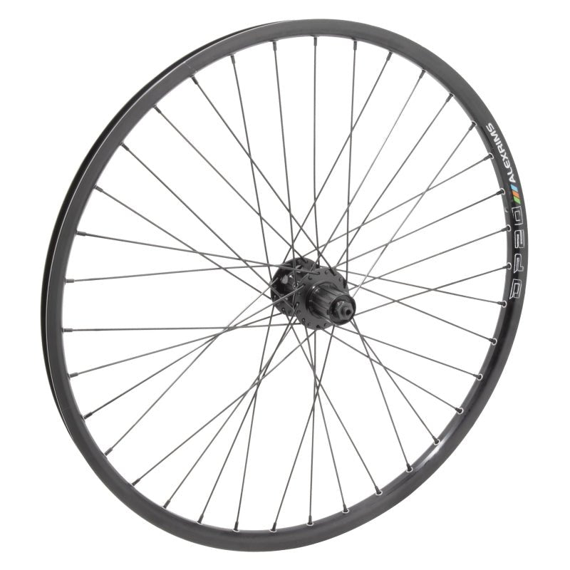 Wheels Wheel master Wheel master 26` Alloy Mountain Disc Double Wall 26in Wheel Rear Dim Gray