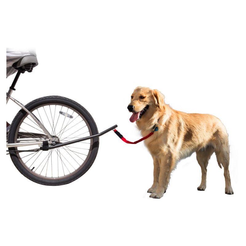 Sunlite Dog leash ( ) - Dragonspine Cycling