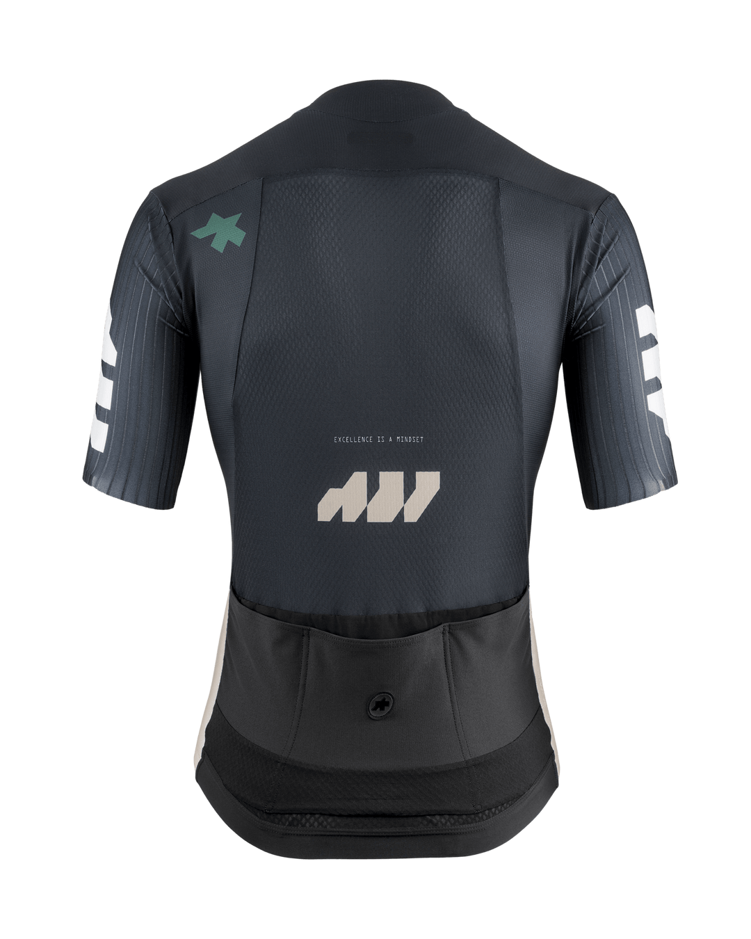 Assos Jerseys (Excellence Blue L) - Dragonspine Cycling