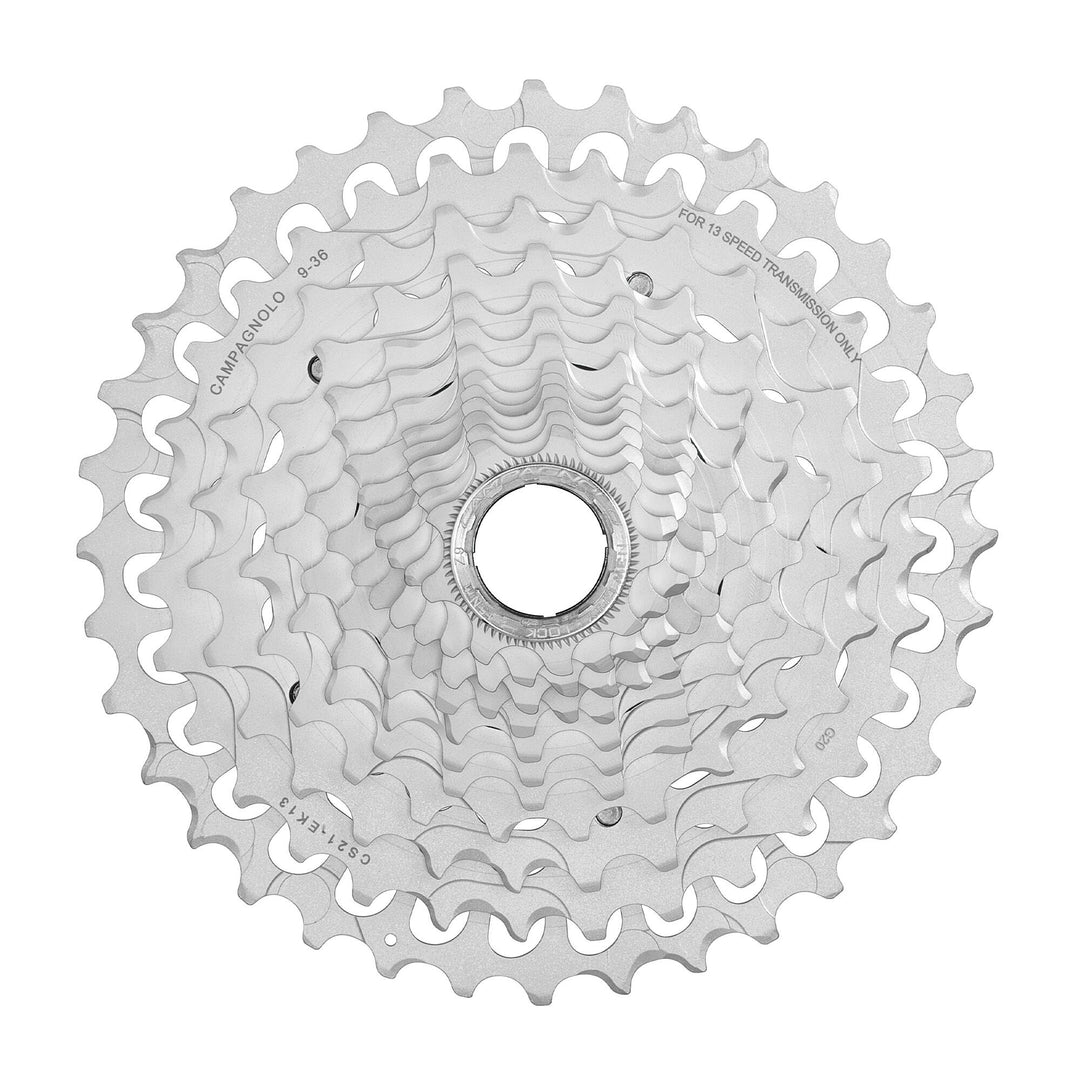 Campagnolo Ekar ( ) - Dragonspine Cycling