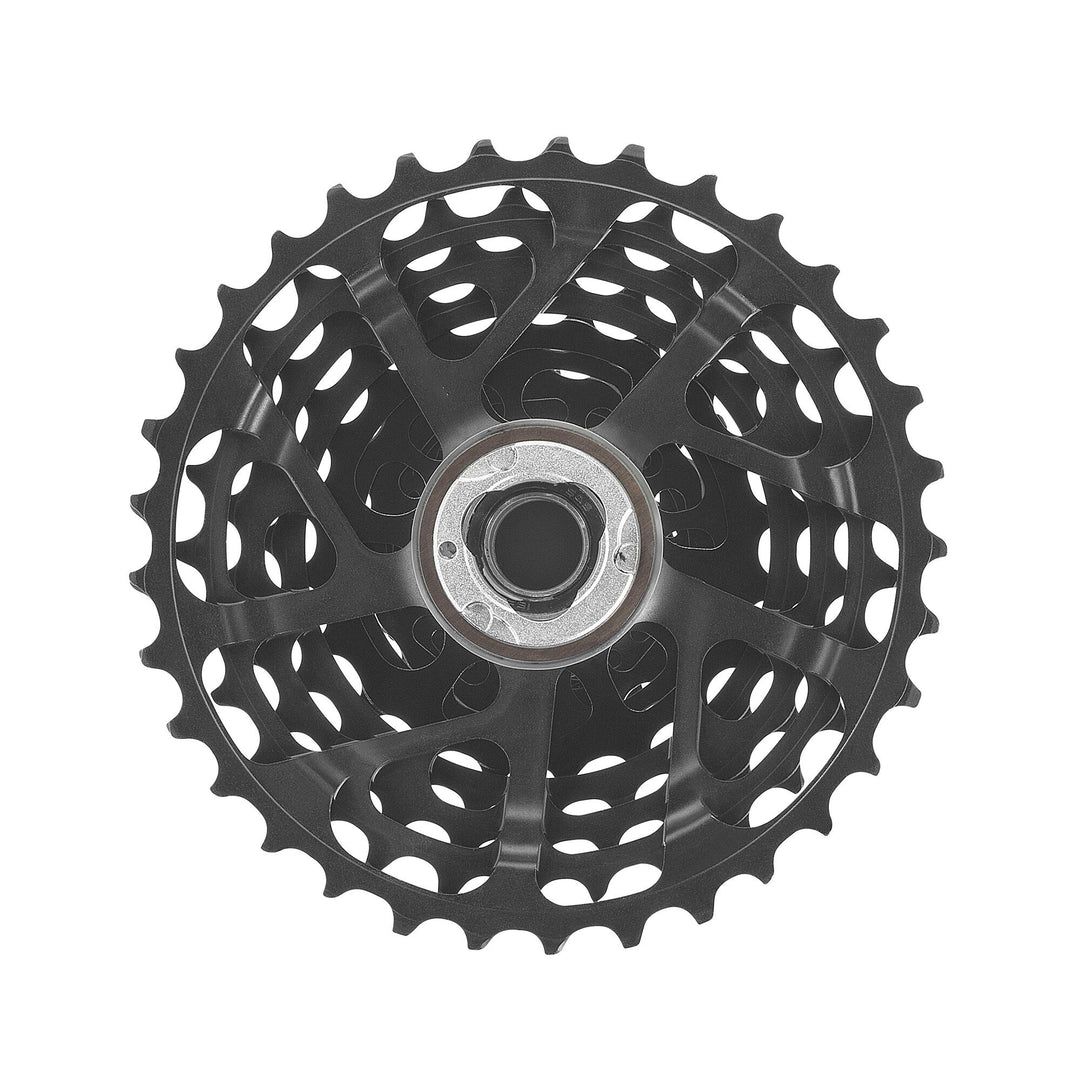 Campagnolo Record 13 ( ) - Dragonspine Cycling