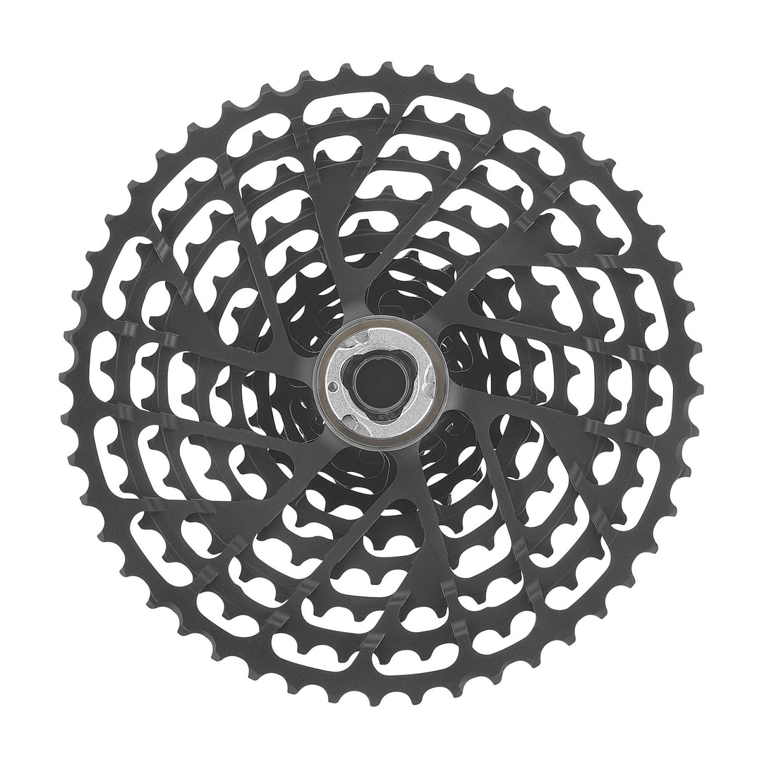Campagnolo Record 13 ( ) - Dragonspine Cycling