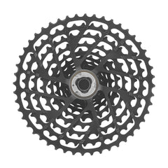 Campagnolo Record 13 ( ) - Dragonspine Cycling