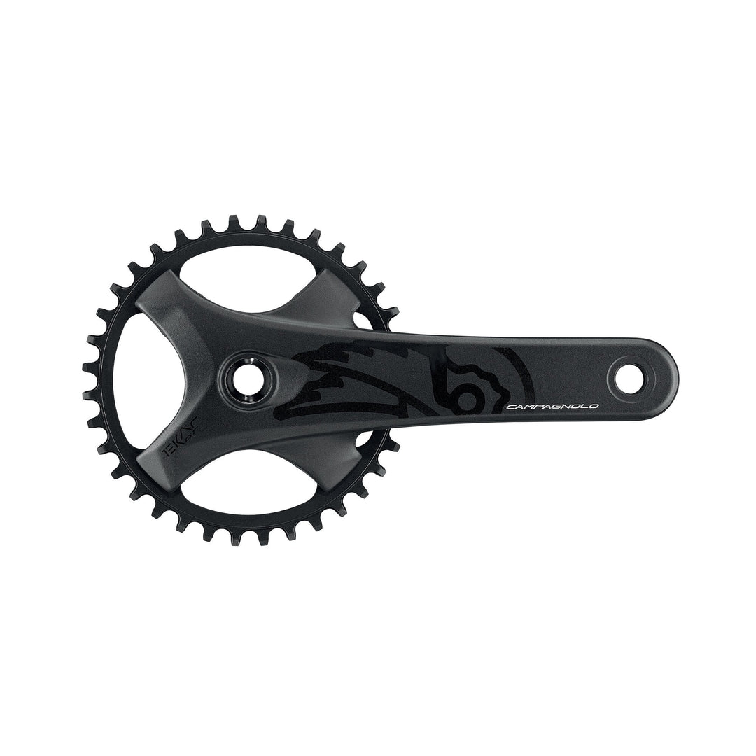 Campagnolo Ekar GT ( ) - Dragonspine Cycling