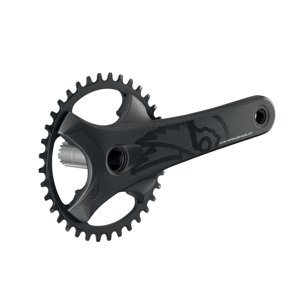 Campagnolo Ekar GT ( ) - Dragonspine Cycling
