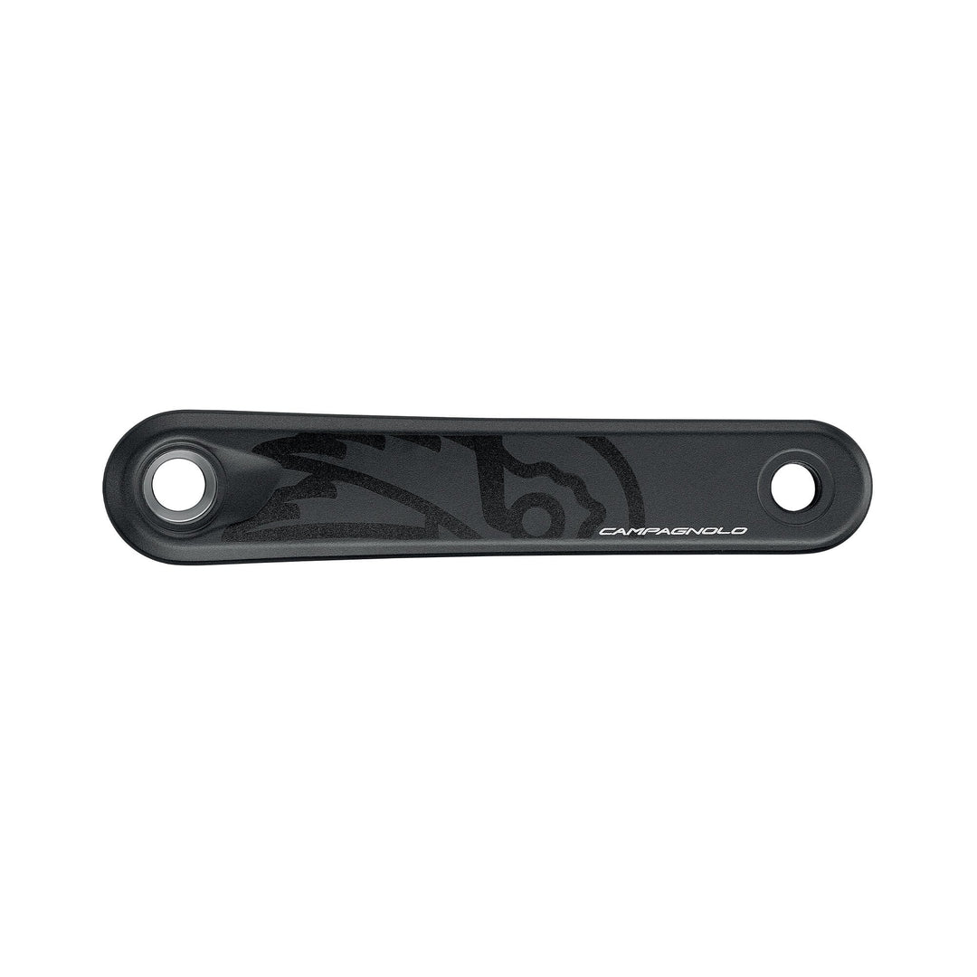 Campagnolo Ekar GT ( ) - Dragonspine Cycling