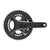 Campagnolo Record 13 ( ) - Dragonspine Cycling