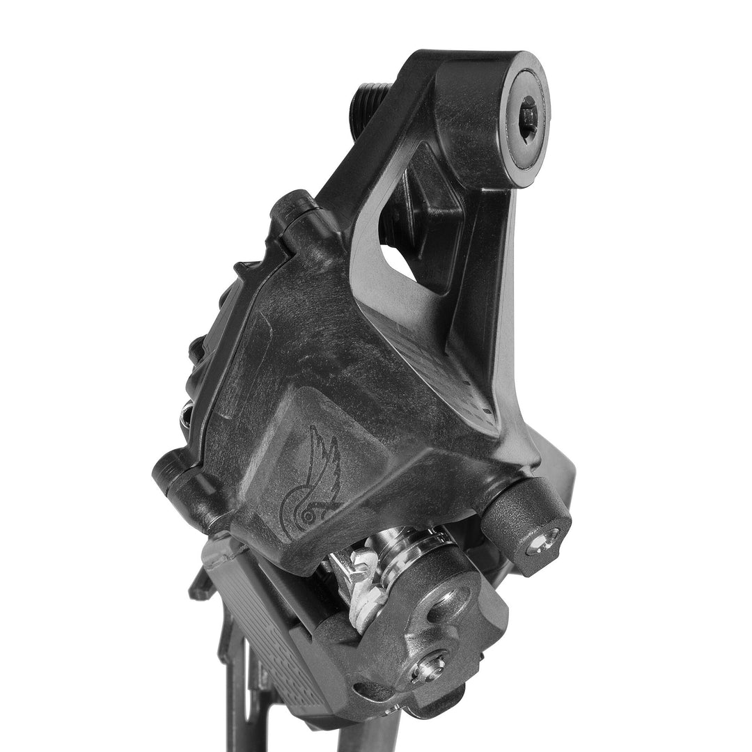 Campagnolo Record 13 ( ) - Dragonspine Cycling
