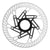 Campagnolo Record 13 ( ) - Dragonspine Cycling