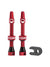 Cush Core Tubeless Valves ( ) - Dragonspine Cycling