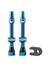 Cush Core Tubeless Valves ( ) - Dragonspine Cycling
