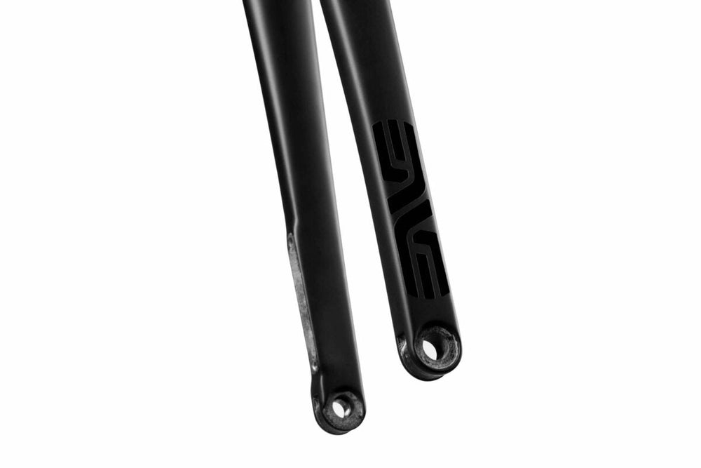 ENVE AR Disc Fork - Dragonspine Cycling