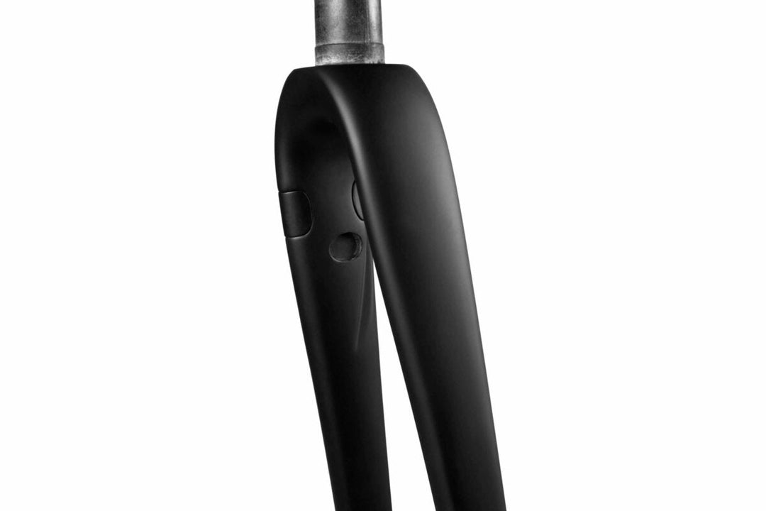 ENVE AR Disc Fork - Dragonspine Cycling