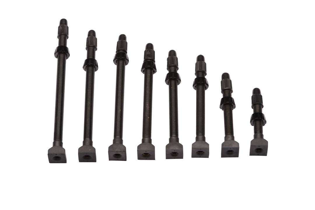 ENVE Tubeless Valve Stem - Dragonspine Cycling