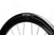 ENVE SES Race Day Tire - Dragonspine Cycling