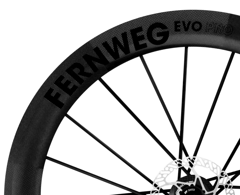 Lightweight Fernweg EVO PRO 63 Disc Brake Wheels, rim and decal detail - Dragonspine Cycling