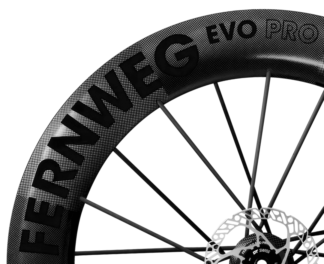 Lightweight Fernweg EVO PRO 85 Disc Brake Wheels, rim and decal detail - Dragonspine Cycling