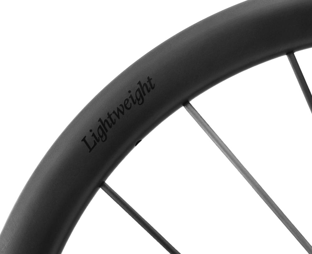 Lightweight Meilenstein ART Disc Brake Wheels - Schwarz ED, rim and decal detail - Dragonspine Cycling