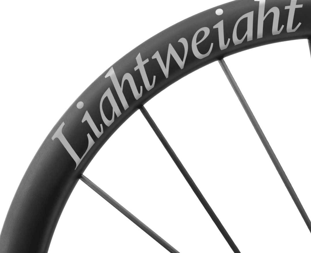 Lightweight Meilenstein ART Disc Brake Wheels - Silver ED Oversized, rim and decal detail - Dragonspine Cycling