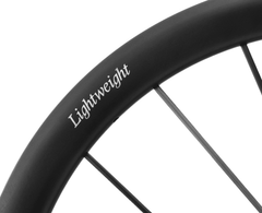 Lightweight Meilenstein ART Disc Brake Wheels - Silver ED, rim and decal detail - Dragonspine Cycling