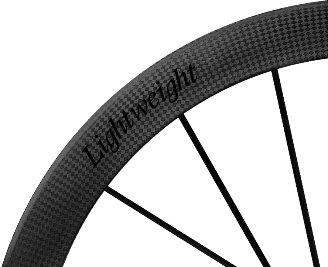 Lightweight Obermayer EVO Disc Brake Wheels - Schwarz ED, rim and decal detail - Dragonspine Cycling